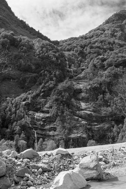 Landscape valley representing market navigation